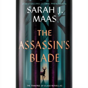 Epic fantasy Kindle eBook Bloomsbury 451 Pages-0